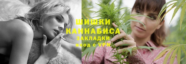 прущие грибы Белоозёрский
