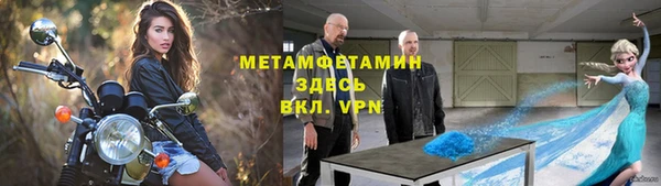 прущие грибы Белоозёрский
