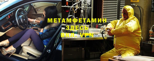 прущие грибы Белоозёрский