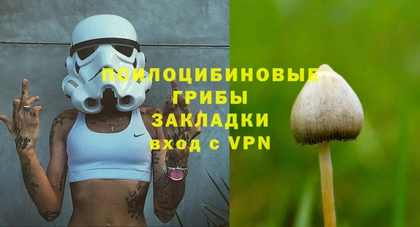прущие грибы Белоозёрский