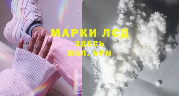 прущие грибы Белоозёрский