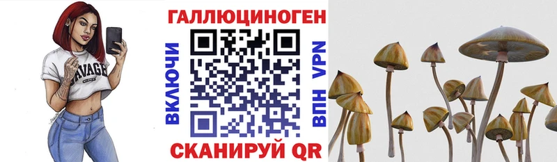 Галлюциногенные грибы Psilocybe  darknet наркотические препараты  Харовск 